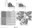 Fig. 20 - Drug delivery methods and compositions
