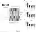 Fig. 22 - Drug delivery methods and compositions