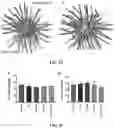 Fig. 25 - Drug delivery methods and compositions