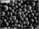 Fig. 01 - LONG-LASTING FORMULATION CONTAINING RIVASTIGMINE, AND METHOD FOR PREPARING SAME