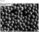 Fig. 02 - LONG-LASTING FORMULATION CONTAINING RIVASTIGMINE, AND METHOD FOR PREPARING SAME