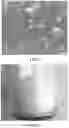 Fig. 06 - METHOD FOR MICRO-ENCAPSULATION OF NATURAL INGREDIENTS BY MEANS OF CONTACTING WITH SUPERCRITICAL GAS