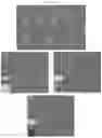 Fig. 03 - COMPOSITE DRUG PARTICLES AND USES THEREOF