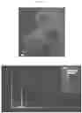 Fig. 10 - COMPOSITE DRUG PARTICLES AND USES THEREOF
