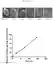 Fig. 15 - COMPOSITE DRUG PARTICLES AND USES THEREOF
