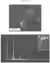 Fig. 29 - COMPOSITE DRUG PARTICLES AND USES THEREOF