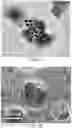 Fig. 07 - NANOCOMPOSITE PARTICLE AND USES THEREOF