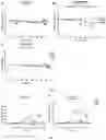 Fig. 04 - COMPOSITIONS AND METHODS FOR TREATMENT OF HEPATITIS B VIRUS INFECTION