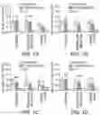 Fig. 02 - COMPOSITION AND METHOD FOR ATTENUATING NEUROINFLAMMATION, AMYLOIDOPATHY AND TAUOPATHY
