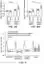 Fig. 08 - COMPOSITION AND METHOD FOR ATTENUATING NEUROINFLAMMATION, AMYLOIDOPATHY AND TAUOPATHY