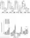 Fig. 09 - COMPOSITION AND METHOD FOR ATTENUATING NEUROINFLAMMATION, AMYLOIDOPATHY AND TAUOPATHY