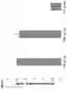 Fig. 02 - KETONE BODIES ENCLOSED IN MICROBEADS