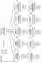 Fig. 02 - Derivatives of korormicin useful as antibiotics