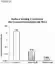 Fig. 13 - Derivatives of korormicin useful as antibiotics