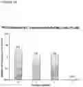 Fig. 15 - Derivatives of korormicin useful as antibiotics