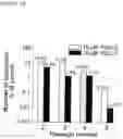 Fig. 21 - Derivatives of korormicin useful as antibiotics