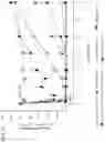 Fig. 05 - DOSING REGIMENS FOR ORAL COMPLEMENT FACTOR D INHIBITORS