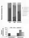 Fig. 04 - INTESTINAL MICROBIOME-IMPROVING COMPOSITION INCLUDING ELLAGIC ACID AS ACTIVE INGREDIENT