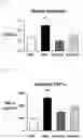 Fig. 06 - INTESTINAL MICROBIOME-IMPROVING COMPOSITION INCLUDING ELLAGIC ACID AS ACTIVE INGREDIENT