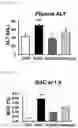 Fig. 11 - INTESTINAL MICROBIOME-IMPROVING COMPOSITION INCLUDING ELLAGIC ACID AS ACTIVE INGREDIENT