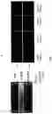 Fig. 04 - METHOD FOR IMPROVING ENDOMETRIOSIS AND METHOD FOR PRODUCING A MATERIAL USED THEREFOR