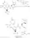Fig. 41 - Nitrile-containing antiviral compounds