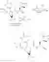 Fig. 43 - Nitrile-containing antiviral compounds