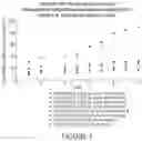 Fig. 04 - Microsphere-Based Injectible Celecoxib Formulation