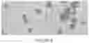 Fig. 07 - Microsphere-Based Injectible Celecoxib Formulation