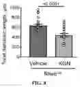 Fig. 10 - Methods of treating epilepsy