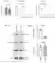 Fig. 14 - Methods of treating epilepsy