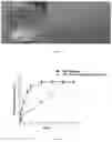 Fig. 04 - Sustained-release microgel ointments with high drug loading and preparation methods and uses thereof