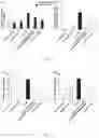 Fig. 07 - Sustained-release microgel ointments with high drug loading and preparation methods and uses thereof
