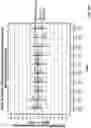 Fig. 32 - Methods of treating gastrointestinal stromal tumors