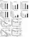 Fig. 10 - METHODS AND COMPOSITIONS FOR TREATING OBESITY AND/OR DIABETES AND FOR IDENTIFYING CANDIDATE TREATMENT AGENTS