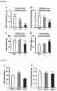 Fig. 13 - METHODS AND COMPOSITIONS FOR TREATING OBESITY AND/OR DIABETES AND FOR IDENTIFYING CANDIDATE TREATMENT AGENTS