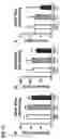 Fig. 14 - METHODS AND COMPOSITIONS FOR TREATING OBESITY AND/OR DIABETES AND FOR IDENTIFYING CANDIDATE TREATMENT AGENTS