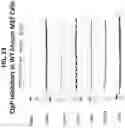 Fig. 23 - METHODS AND COMPOSITIONS FOR TREATING OBESITY AND/OR DIABETES AND FOR IDENTIFYING CANDIDATE TREATMENT AGENTS