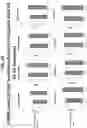 Fig. 26 - METHODS AND COMPOSITIONS FOR TREATING OBESITY AND/OR DIABETES AND FOR IDENTIFYING CANDIDATE TREATMENT AGENTS