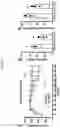 Fig. 35 - METHODS AND COMPOSITIONS FOR TREATING OBESITY AND/OR DIABETES AND FOR IDENTIFYING CANDIDATE TREATMENT AGENTS