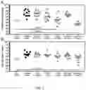 Fig. 03 - COMPOSITION AND METHOD FOR TREATING CANDIDA AURIS INFECTION