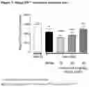 Fig. 02 - TREATMENT FOR SYNUCLEINOPATHIES