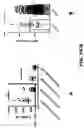 Fig. 02 - Compositions and Methods for the Treatment of Intracranial Diseases
