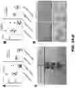 Fig. 04 - Compositions and Methods for the Treatment of Intracranial Diseases