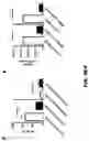 Fig. 05 - Compositions and Methods for the Treatment of Intracranial Diseases
