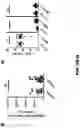 Fig. 09 - Compositions and Methods for the Treatment of Intracranial Diseases