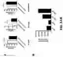 Fig. 11 - Compositions and Methods for the Treatment of Intracranial Diseases