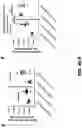 Fig. 14 - Compositions and Methods for the Treatment of Intracranial Diseases