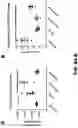Fig. 28 - Compositions and Methods for the Treatment of Intracranial Diseases