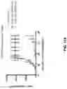 Fig. 32 - Compositions and Methods for the Treatment of Intracranial Diseases